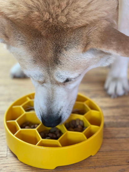Honeycomb Deep Slow Feeder Dog Bowl