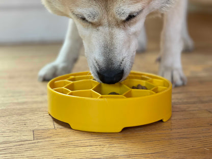 Honeycomb Deep Slow Feeder Dog Bowl