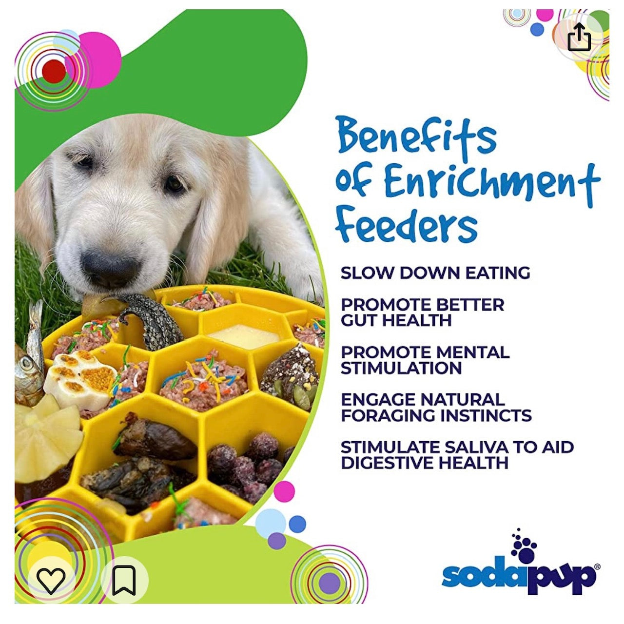 Honeycomb Deep Slow Feeder Dog Bowl